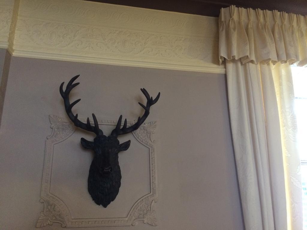 Elm Guest House Hawick Esterno foto